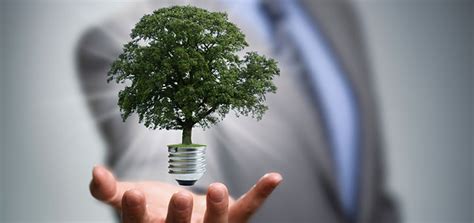 How Small Businesses Can Go Green Keep Electric Bills Low
