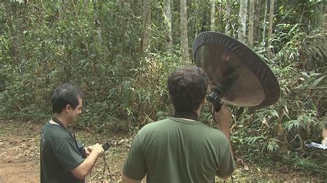 Rede Globo Redeamazonica Biodiversidade Em Roraima Foi Tema Da Edição Do Bom Dia Amazônia