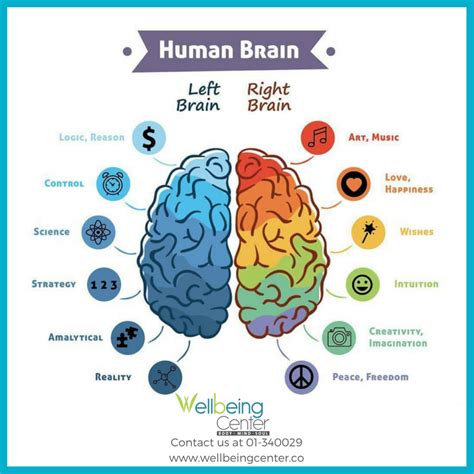 Human Brain Wellbeing Center Middle East