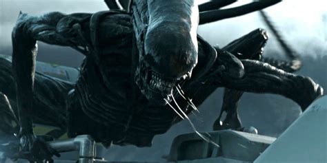 Follow for news on upcoming alien movies, games & more, plus #alienday #alien40th updates! Alien: Covenant - The Engineers Didn't Create the Xenomorphs