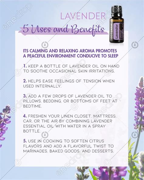 5 Uses And Benefits Dōterra Lavender Essential Oil By Conceptb Boheme