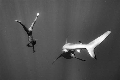 See Amazing Photos Of Model Marisa Papen Swimming Nude With Sharks In Calendar Maxim