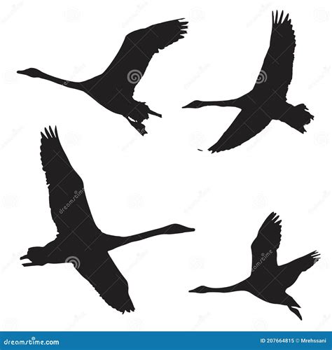 The Set Vector Illustration Silhouette Of Flying Whooper Swans Bird