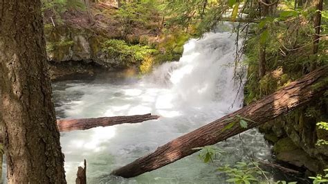 Whitehorse Falls Umpqua National Forest Oregon Youtube