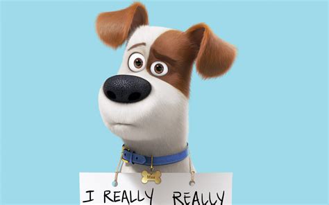 Now, she has another chance at. The Secret Life of Pets Wallpapers Images Photos Pictures ...