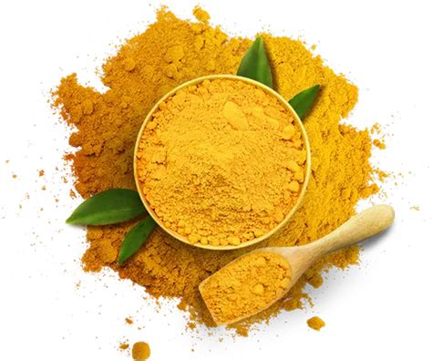 Curcuma Longa Golden Yellow Turmeric Powder Pratibha 48 Variety For