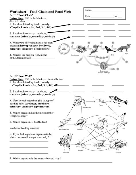 In a food chain, there is a straight line from producers to first consumers to second consumers to third consumers. Worksheets On Food Chains And Food Webs | Food web ...