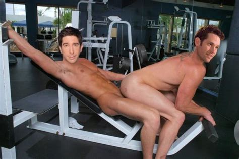 David Schwimmer Gay Fakes Naked Xxx Pics