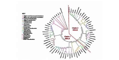 2*3*8=6*8 and 'kw0f'!='kw0f%, testing and 2*3*8=6*8 and btdh=btdh, testing' and. Evolutionary relationship of Dlac, Dser and Dala ...
