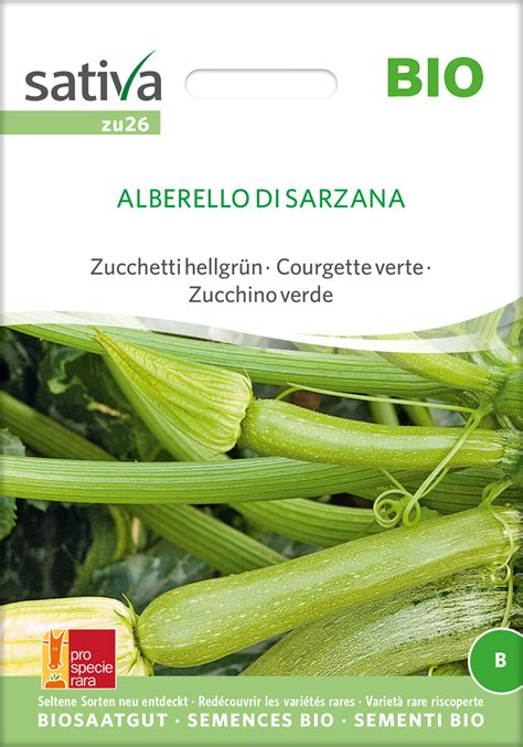 Bio Saatgut Zucchini Alberello Di Sarzana