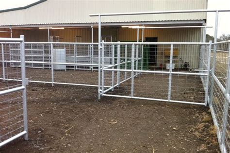 Beef Cattle Working Facility Designs Cattle Corrals Cattle Beef Cattle