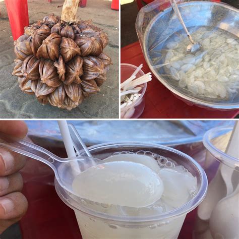 Vietnamese Water Coconut Dừa Nước Delicious Vietnam