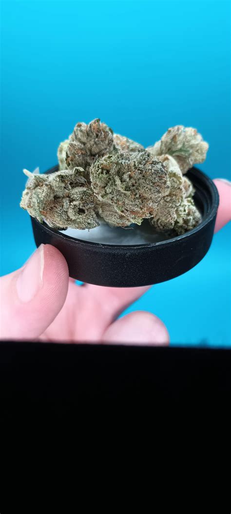 Fig Farms - Blue Face 25.03% : r/ILTrees