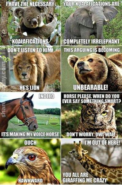 Animal Puns Meme Share Its Funny