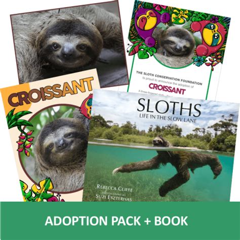 Renew The Sloth Conservation Foundation