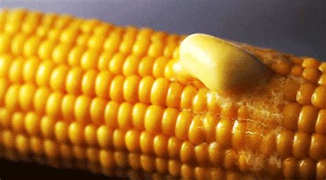 Sweet Corn Empty Calories Or Powerhouse Of Nutrients Healthshots