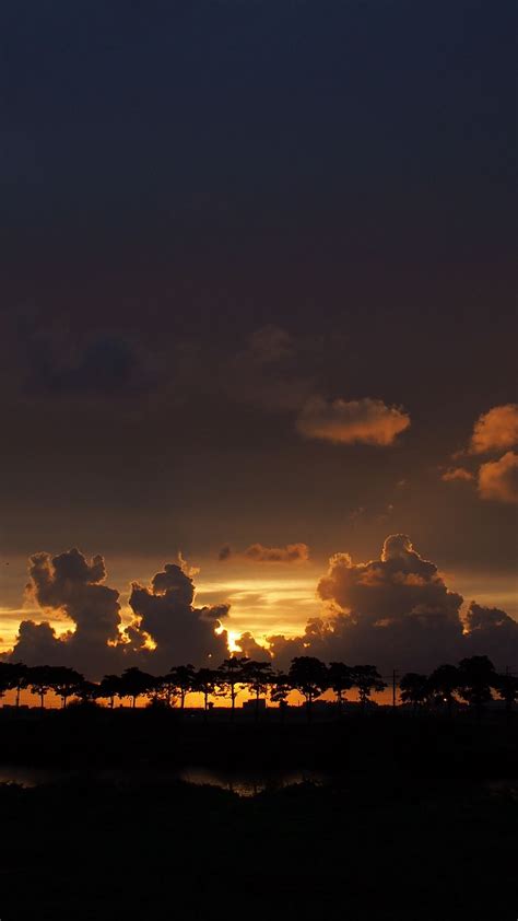 Download Wallpaper 938x1668 Clouds Sunset Horizon Trees Sky Night
