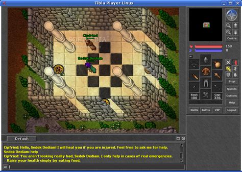 Tibia Review