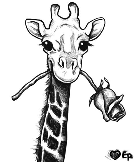 Best 25 Giraffe Drawing Ideas On Pinterest Girraffe Drawing Funny
