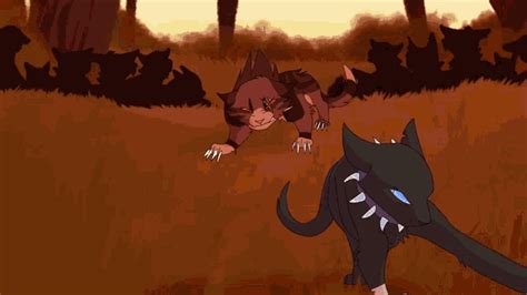 Warrior Cats Owlspark Gif Warrior Cats Owlspark Scourge Discover