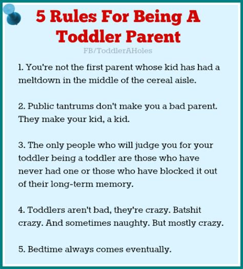 Toddlers Are Aholes Five Rules For Being A Toddler