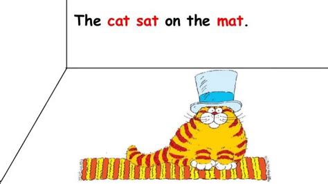 The Fat Cat Story