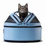 Carrier For 2 Cats Images