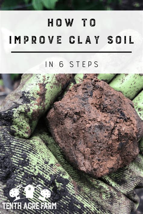 How To Improve Clay Soil In 6 Steps Clay Soil Clay Soil Plants