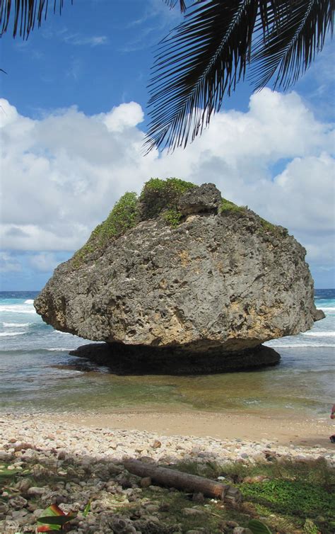 Barbados Mushroom Rock Nature Natural Landmarks Outdoor