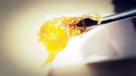 types of bho concentrates wax sugar budder crumble shatter live resin cannabasics 6