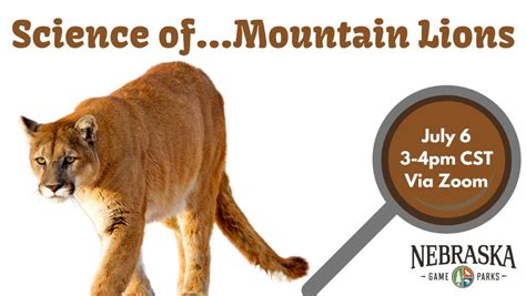 Science of…Mountain Lions | Outdoor Nebraska Nebraska Game and Parks