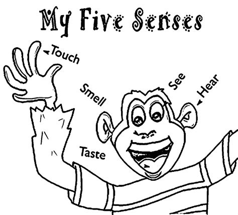 Some of these coloring pages are advance and hard to color and some are easy and fun. 5 Senses Coloring Pages - Kidsuki