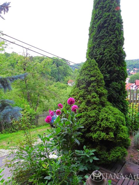 Manche leute können sich an keinem garten erfreuen, wenn sie nicht die namen aller blumen kennen. Das ist mein Garten. Ein englisches Sprichwort lautet ...