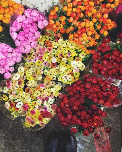 Rona Wheeldon On Instagram Super Selection Of Ranunculus At
