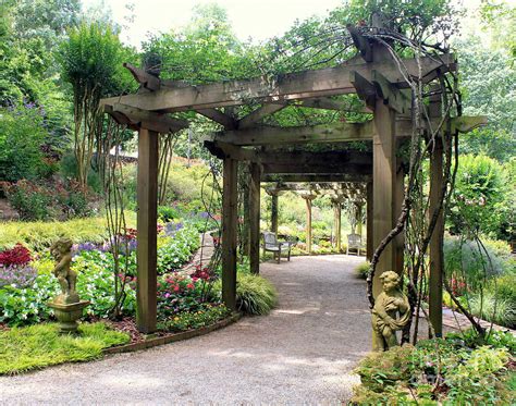 Pergola Climbing Roses Photograph By Charlene Cox Pixels