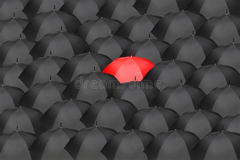 Black Umbrellas One Red Stock Photos Free And Royalty Free Stock Photos