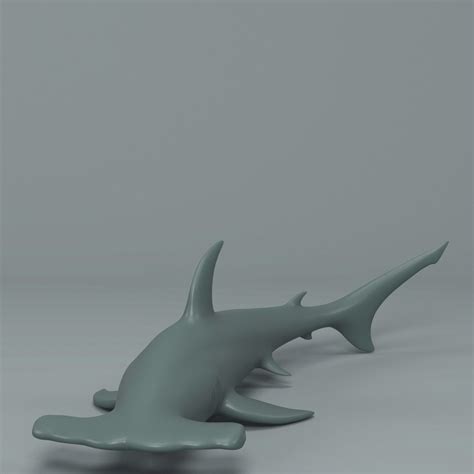 Hammerhead Shark 3d Model 3d Printable Cgtrader