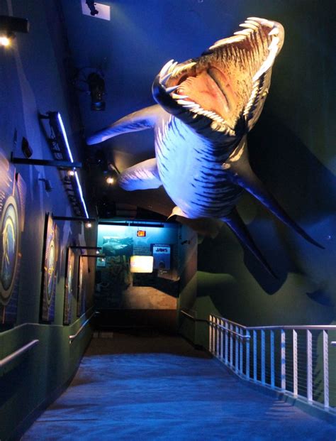 Sneak Peek Camdens Adventure Aquarium Opens Dinosaurs Of The Deep