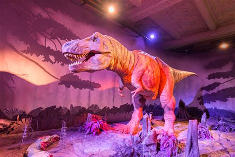Sleepover At The Natural History Museum In London Is A History Buffs