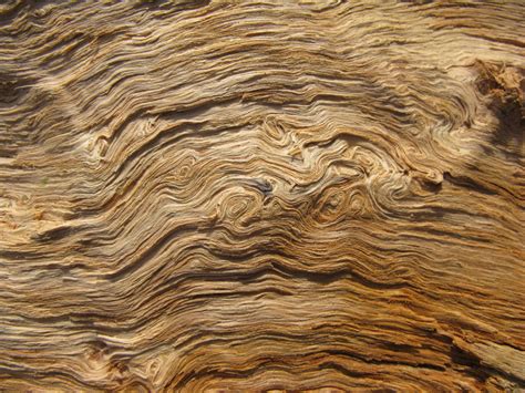 Oak Wood Grain Wallpaper