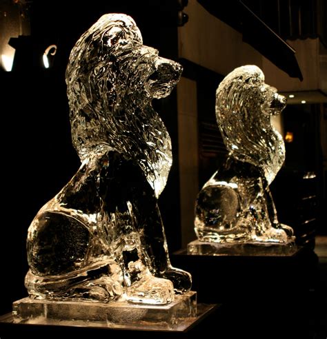 Ice Sculpture Two Hand Carved Ice Lions Making A Very