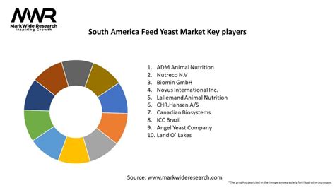 South America Feed Yeast Market 2024 2032 Sizeshare Growth