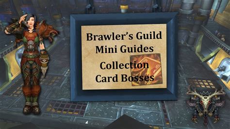 The online collectible card game card hunter has three playable character classes: Brawler's Guild Mini Guides - Collectible Card Bosses - Hunter PoV - YouTube