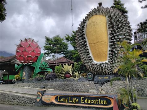 Tempat Wisata Di Puncak Bogor Yang Seru Dan Asyik