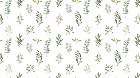 Sage Green Aesthetic Wallpaper Backgrounds Free