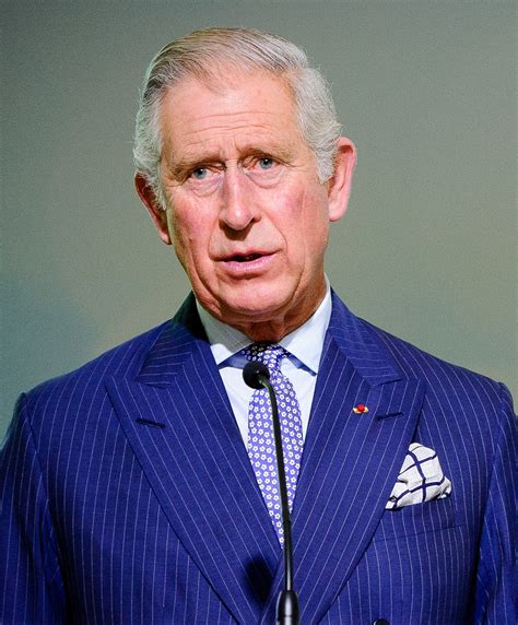 Charles Prince Of Wales Wikipedia