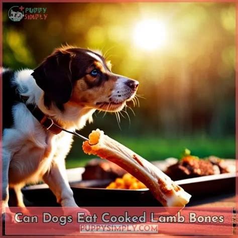 Can Dogs Eat Lamb Bones A Comprehensive Guide For Dog Owners