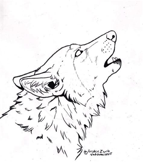 Wolf Head Drawing Wolf Face Drawing Wolf Howling
