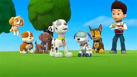 Sounds Of Paw Patrol Video Clips Compilation Paw Patrol Full Episodes