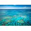 Great Barrier Reef Inspection Not Needed Because Science Was Clear 
